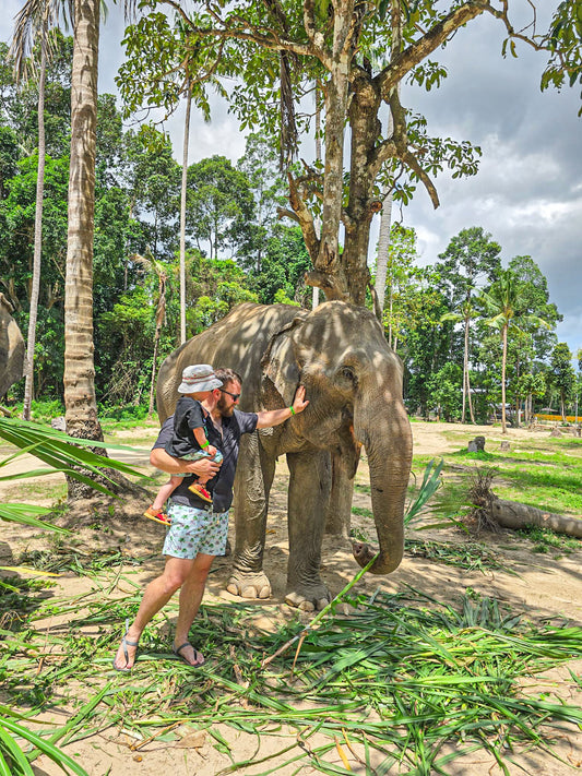 Thai Elephant (Kids)