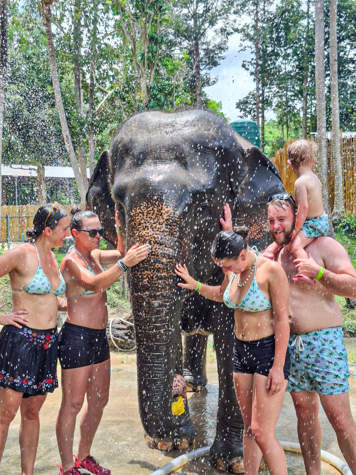 Thai Elephant (Kids)