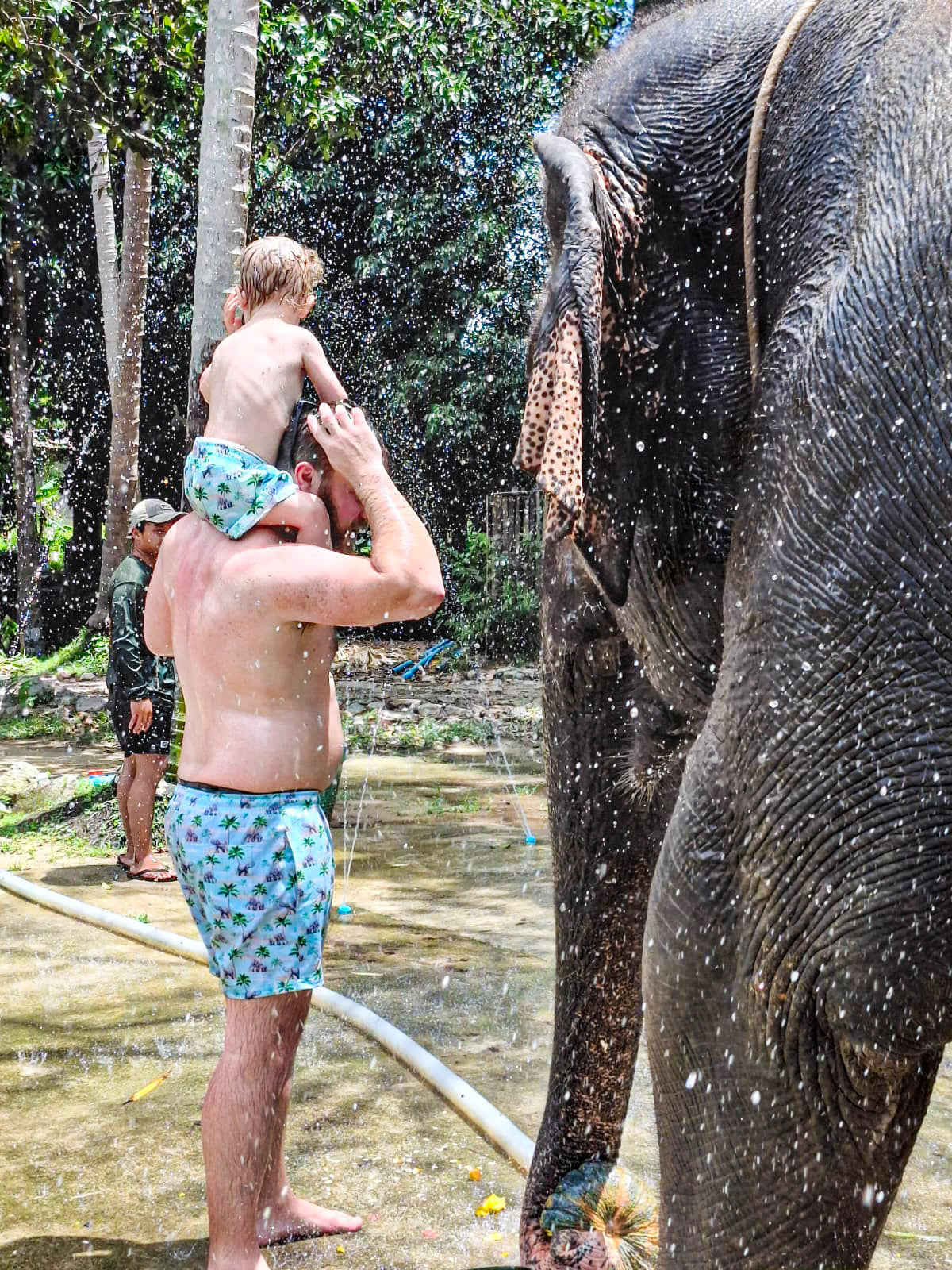 Thai Elephant (Kids)