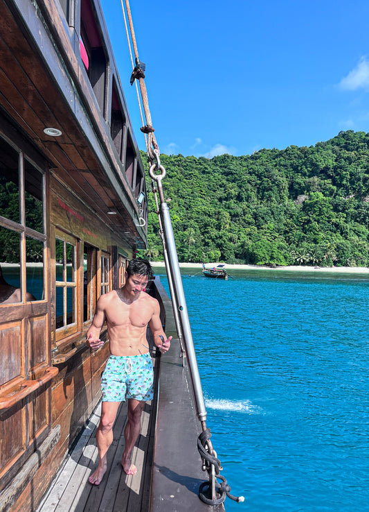 Thai Elephant (Men's swimshorts)