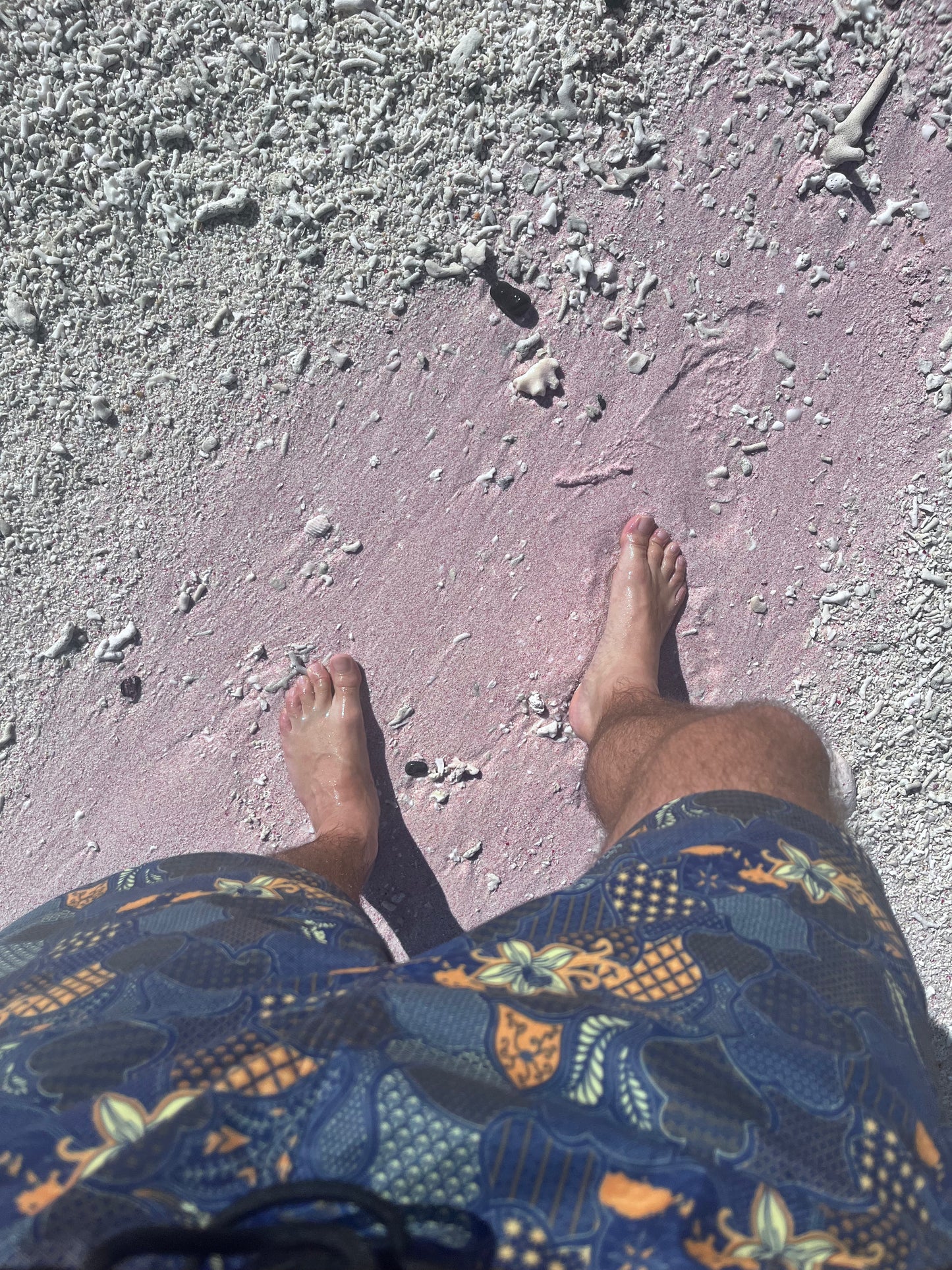 Batik Swimshorts
